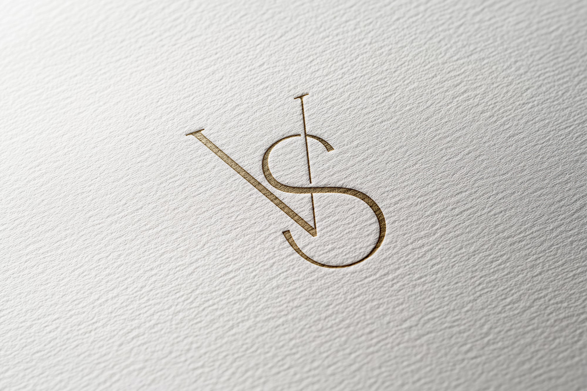 VS Monogram