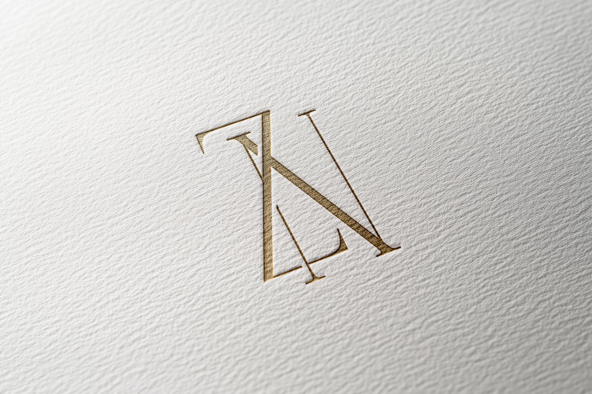 ZN Monogram