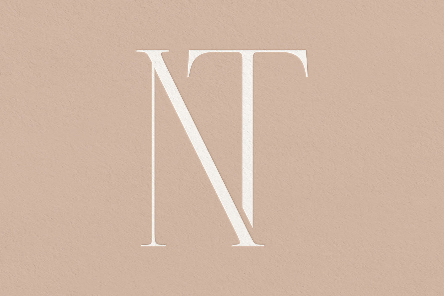 NT Monogram