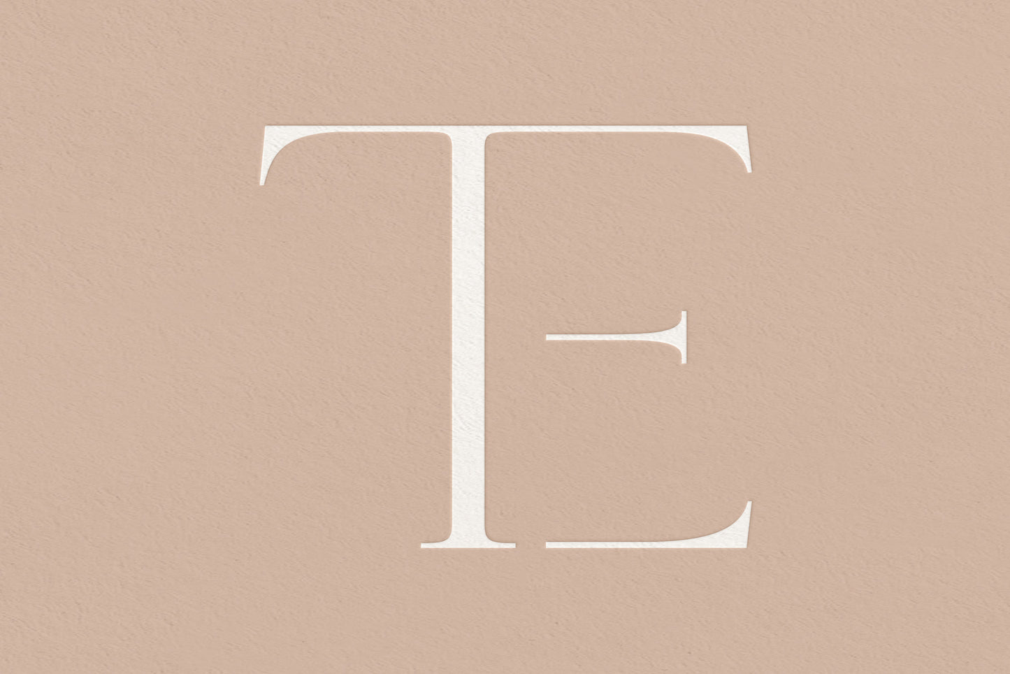 TE Monogram