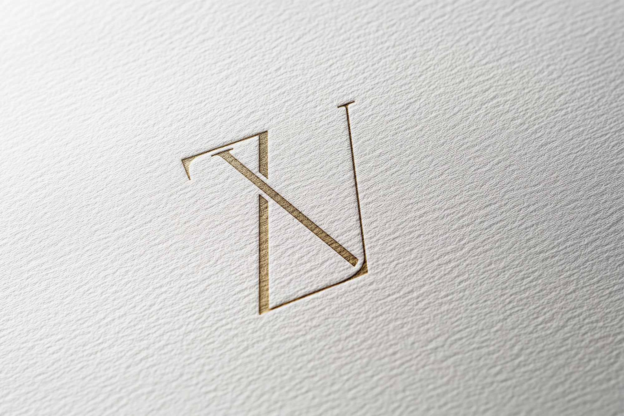 ZV Monogram